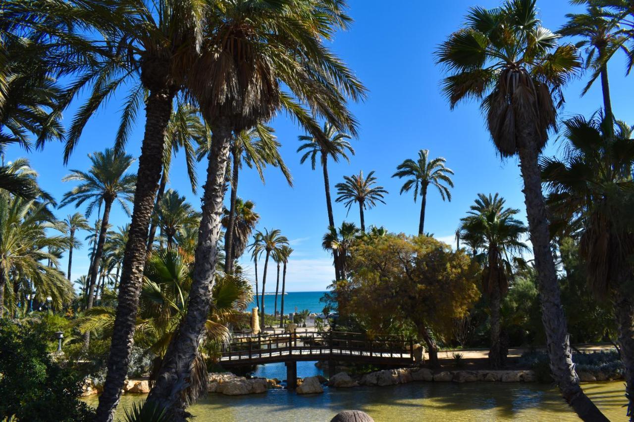Rafaello Apartment ,,La Zona Cabo Roig, Area Cabo Roig" Οριουέλα Εξωτερικό φωτογραφία