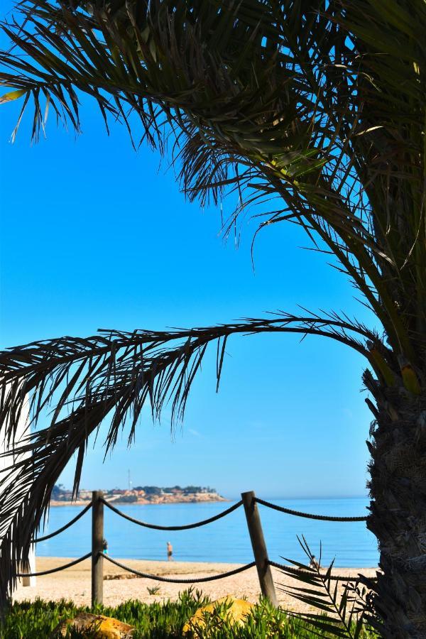 Rafaello Apartment ,,La Zona Cabo Roig, Area Cabo Roig" Οριουέλα Εξωτερικό φωτογραφία