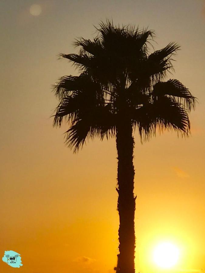 Rafaello Apartment ,,La Zona Cabo Roig, Area Cabo Roig" Οριουέλα Εξωτερικό φωτογραφία