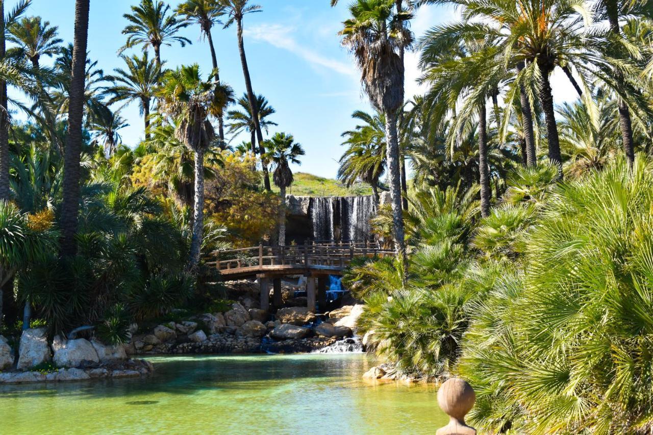 Rafaello Apartment ,,La Zona Cabo Roig, Area Cabo Roig" Οριουέλα Εξωτερικό φωτογραφία
