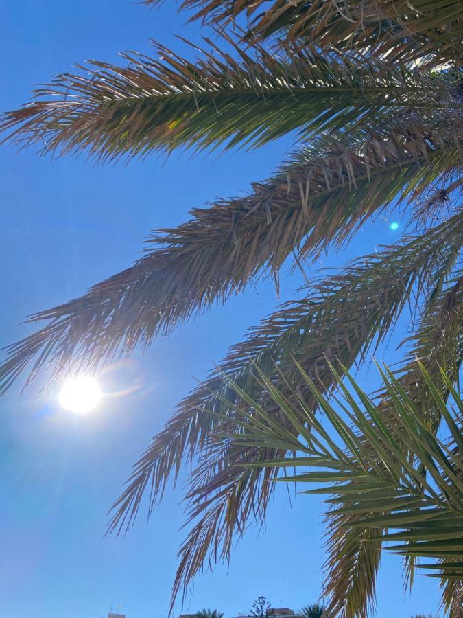 Rafaello Apartment ,,La Zona Cabo Roig, Area Cabo Roig" Οριουέλα Εξωτερικό φωτογραφία